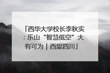 西华大学校长李秋实：乐山“智慧低空”大有可为｜西望四川