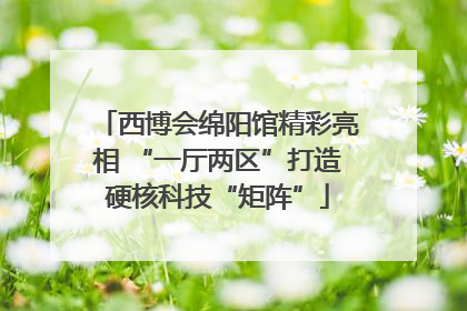 西博会绵阳馆精彩亮相 “一厅两区”打造硬核科技“矩阵”
