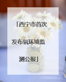 西宁市首次发布氧环境监测公报