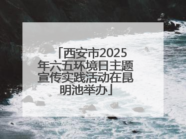 西安市2025年六五环境日主题宣传实践活动在昆明池举办