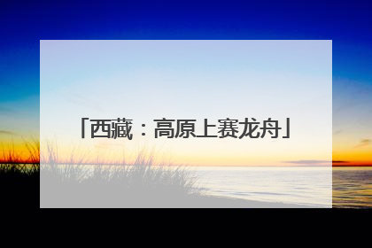 西藏：高原上赛龙舟