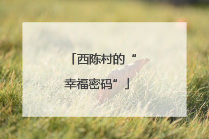 西陈村的“幸福密码”