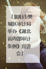 襄阳市樊城区审计局举办《湖北省内部审计条例》宣讲会