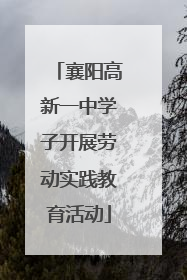 襄阳高新一中学子开展劳动实践教育活动