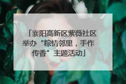 襄阳高新区紫薇社区举办“粽情邻里，手作传香”主题活动