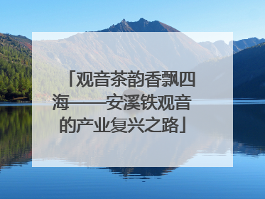 观音茶韵香飘四海——安溪铁观音的产业复兴之路