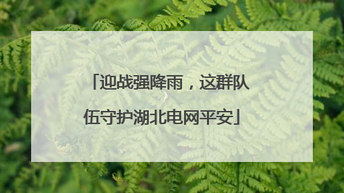 迎战强降雨，这群队伍守护湖北电网平安