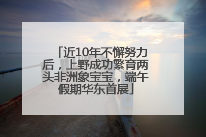 近10年不懈努力后，上野成功繁育两头非洲象宝宝，端午假期华东首展