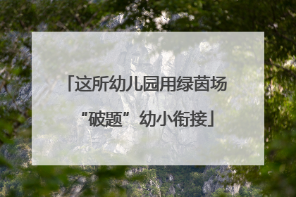 这所幼儿园用绿茵场“破题”幼小衔接