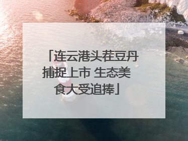 连云港头茬豆丹捕捉上市 生态美食大受追捧