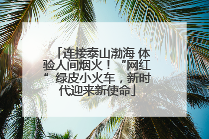 连接泰山渤海 体验人间烟火！“网红”绿皮小火车，新时代迎来新使命