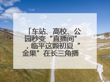 车站、高校、公园秒变“直播间”，临平这颗初夏“金果”在长三角播撒甜美