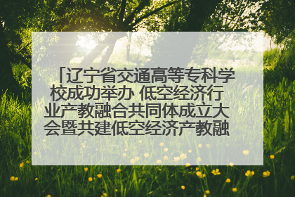 辽宁省交通高等专科学校成功举办 低空经济行业产教融合共同体成立大会暨共建低空经济产教融合新生态论坛