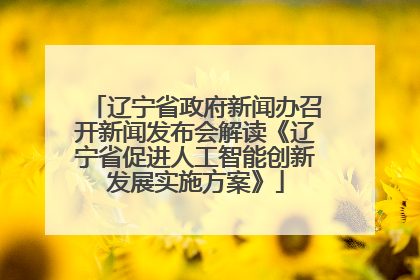 辽宁省政府新闻办召开新闻发布会解读《辽宁省促进人工智能创新发展实施方案》