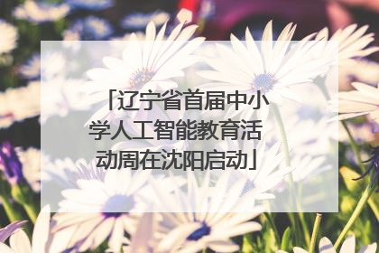 辽宁省首届中小学人工智能教育活动周在沈阳启动