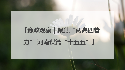 豫政观察｜聚焦“两高四着力” 河南谋篇“十五五”