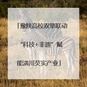 豫陕高校双擎联动 “科技+非遗”赋能潢川芡实产业