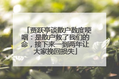 贾跃亭谈散户数度哽咽:是散户救了我们的命,接下来一到两年让大家挽回损失