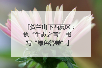 贺兰山下西夏区：执“生态之笔” 书写“绿色答卷”