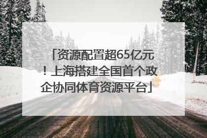 资源配置超65亿元！上海搭建全国首个政企协同体育资源平台