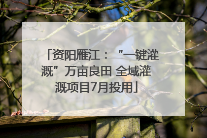 资阳雁江：“一键灌溉”万亩良田 全域灌溉项目7月投用