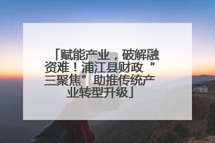 赋能产业，破解融资难！浦江县财政“三聚焦”助推传统产业转型升级