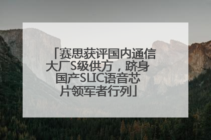 赛思获评国内通信大厂S级供方，跻身国产SLIC语音芯片领军者行列