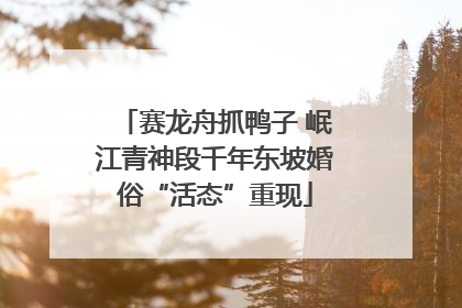 赛龙舟抓鸭子 岷江青神段千年东坡婚俗“活态”重现