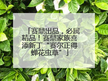 赛鼎出品，必属精品！赛鼎家族喜添新丁“赛尔正得蝉花虫草”