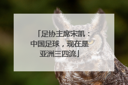 足协主席宋凯：中国足球，现在是亚洲三四流