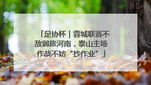 足协杯｜蓉城联赛不敌弱旅河南，泰山主场作战不妨“抄作业”