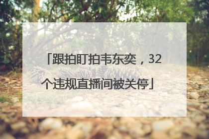跟拍盯拍韦东奕，32个违规直播间被关停