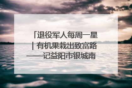 退役军人每周一星｜有机果栽出致富路——记益阳市银城南湖蔬果农民专业合作社总经理晏桂明