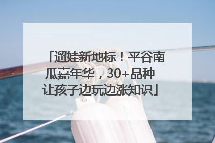 遛娃新地标！平谷南瓜嘉年华，30+品种让孩子边玩边涨知识