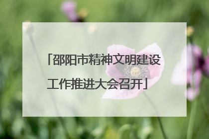 邵阳市精神文明建设工作推进大会召开