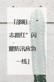 邵阳：“志愿红”闪耀防汛应急一线