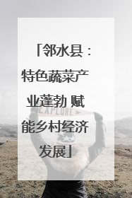 邻水县：特色蔬菜产业蓬勃 赋能乡村经济发展