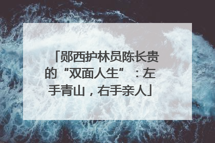 郧西护林员陈长贵的“双面人生”：左手青山，右手亲人