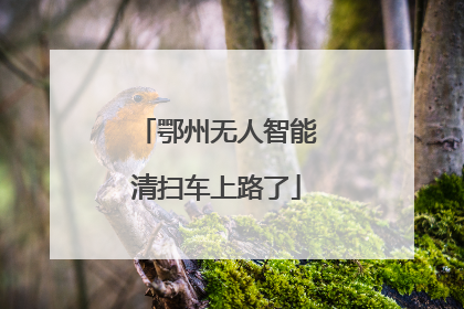 鄂州无人智能清扫车上路了