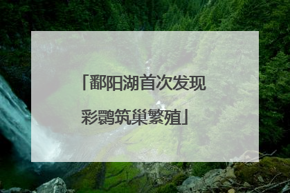 鄱阳湖首次发现彩鹮筑巢繁殖