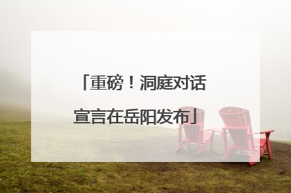 重磅！洞庭对话宣言在岳阳发布