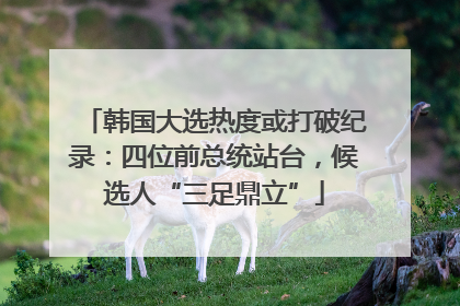 韩国大选热度或打破纪录：四位前总统站台，候选人“三足鼎立”