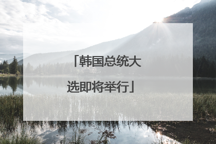 韩国总统大选即将举行