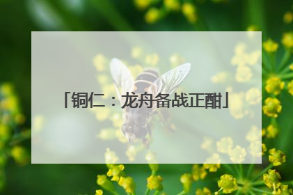铜仁：龙舟备战正酣