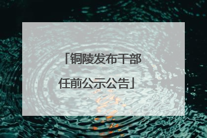 铜陵发布干部任前公示公告