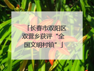 长春市双阳区双营乡获评“全国文明村镇”