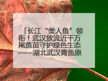 长江“美人鱼”领衔！武汉放流近千万尾鱼苗守护绿色生态——湖北武汉青鱼原种场参加2025年“全国放鱼日”增殖放流活动