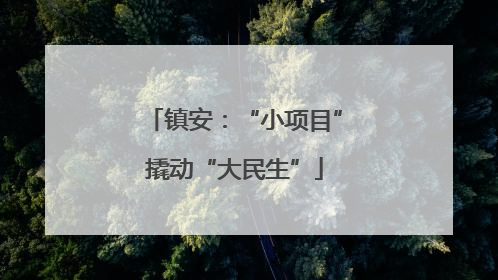 镇安：“小项目”撬动“大民生”