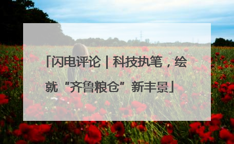 闪电评论｜科技执笔，绘就“齐鲁粮仓”新丰景