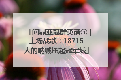 问鼎亚冠群英谱①｜主场战歌：18715人的呐喊托起冠军城
